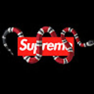 Meet your Posher, Bill